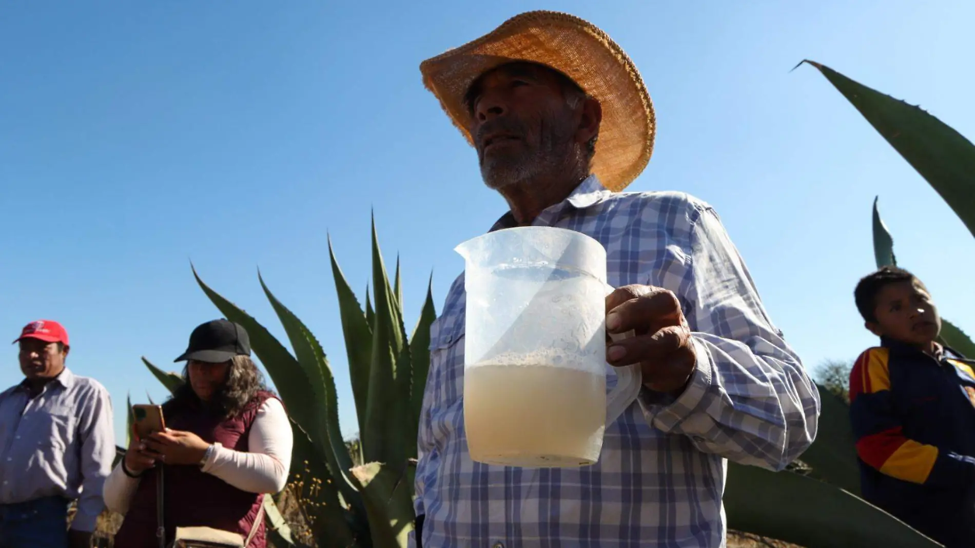 Aguamiel recién sacada que tras su proceso se convertirá en pulque